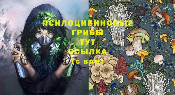 а пвп мука Елабуга