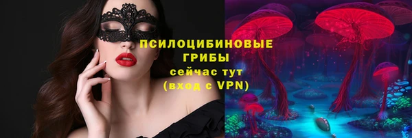а пвп мука Елабуга