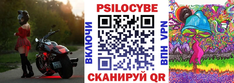 Псилоцибиновые грибы Cubensis  Бронницы 